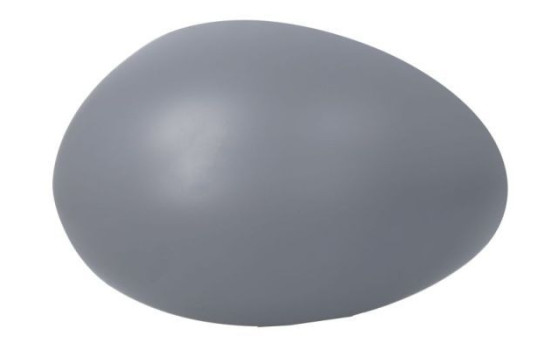 Carcasa, retrovisor exterior
