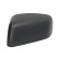 Carcasa, retrovisor exterior