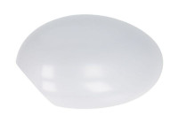 Carcasa, retrovisor exterior