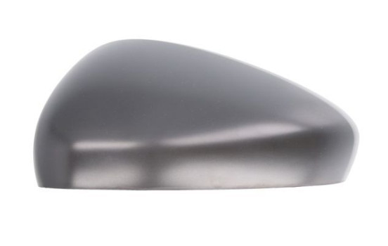 Carcasa, retrovisor exterior