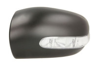 Carcasa, retrovisor exterior