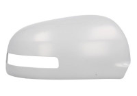 Carcasa, retrovisor exterior