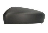 Carcasa, retrovisor exterior