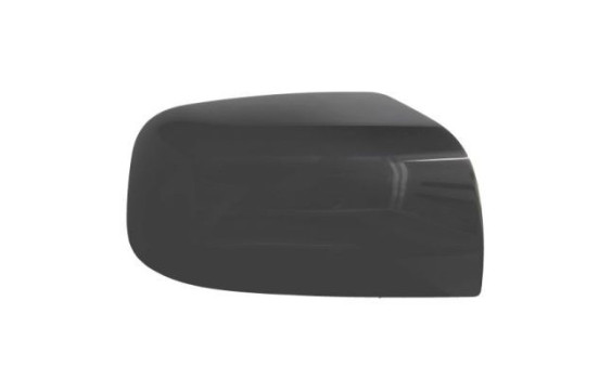 Carcasa, retrovisor exterior