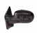 Espejo exterior izquierdo completo 6125177 Alkar, Miniatura 2