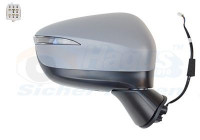 Retrovisor exterior *HAGUS* 2791828