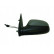 Retrovisor exterior IZQUIERDO TOTALMENTE IMPRIMADO 0950813 Hagus, Miniatura 2