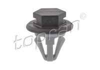 Clip, tira decorativa/protectora