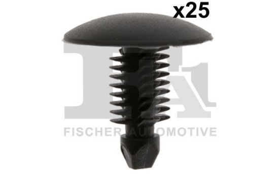 Clip, tira decorativa/protectora