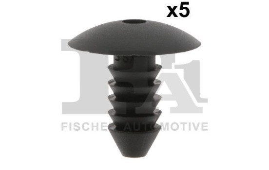 Clip, tira decorativa/protectora