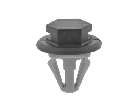 Clip, tira decorativa/protectora