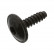 Tornillo