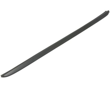 Sello del parabrisas