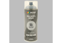 Motip 07026 RAL-7001 Gris Plata