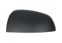 Carcasa, retrovisor exterior