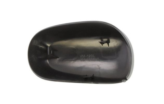Carcasa, retrovisor exterior
