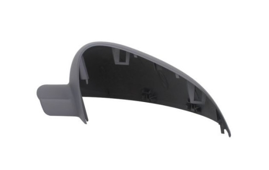 Carcasa, retrovisor exterior