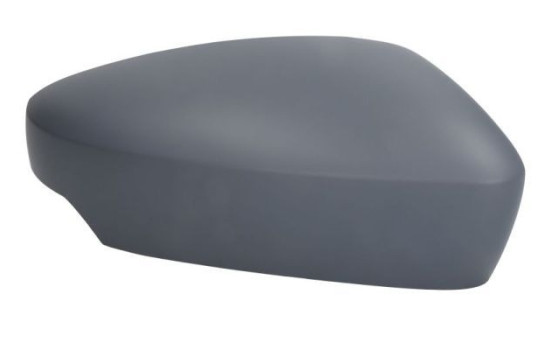 Carcasa, retrovisor exterior