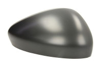 Carcasa, retrovisor exterior