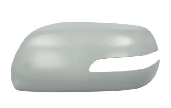 Carcasa, retrovisor exterior