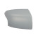 Carcasa, retrovisor exterior