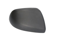 Carcasa, retrovisor exterior