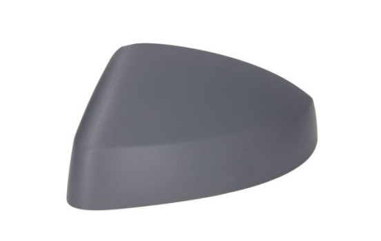 Carcasa, retrovisor exterior