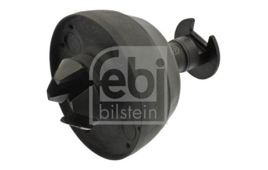 Reabsorción, gato, Imagen 2