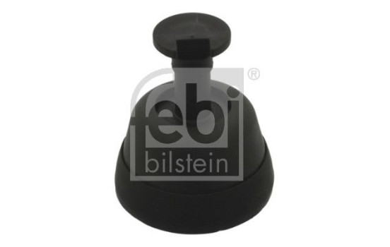 Reabsorción, gato, Imagen 3