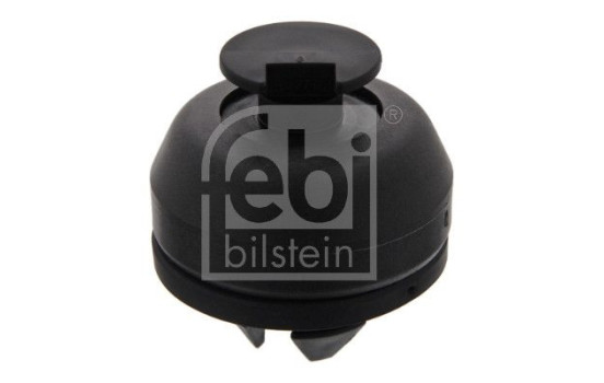 Reabsorción, gato, Imagen 2