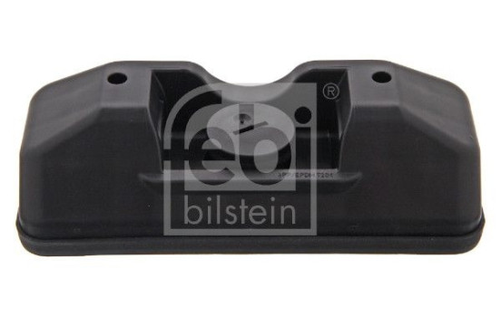 Reabsorción, gato, Imagen 2