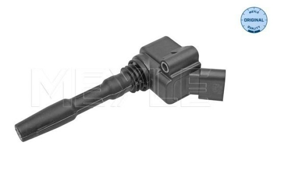 Bobine 100 885 0025 Meyle