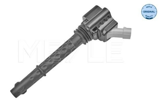 Bobine 214 885 0015 Meyle