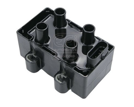 BOBINE D'ALLUMAGE 155016 EFI Automotive