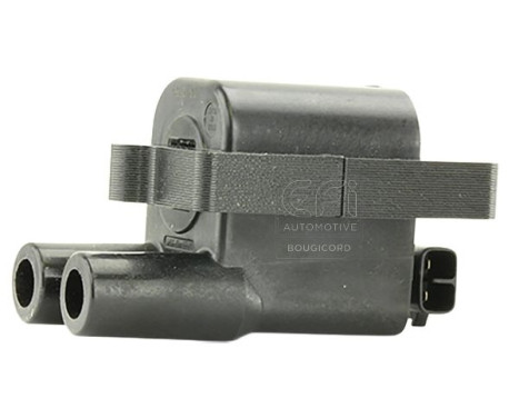 BOBINE D'ALLUMAGE 155387 EFI Automotive