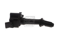 BOBINE D'ALLUMAGE 155528 EFI Automotive