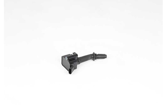 Bobine d'allumage BSG 65-835-017