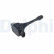 Bobine d'allumage GN11074-12B1 Delphi