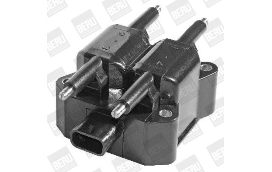 Bobine d'allumage ZS379 Borgwarner Beru, Image 2
