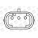 Bobine d'allumage ZS379 Borgwarner Beru, Vignette 3