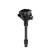 Bobine d'allumage ZSE295 Borgwarner Beru
