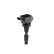 Bobine d'allumage ZSE301 Borgwarner Beru