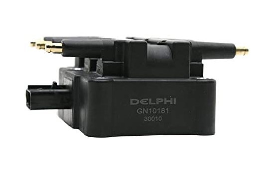 Bobine d'allumage GN10181-11B1 Delphi, Image 3