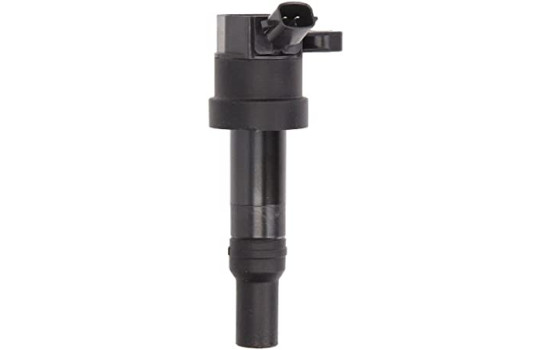 Bobine d'allumage GN10585-12B1 Delphi