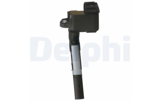 Bobine d'allumage GN10691-12B1 Delphi, Image 9