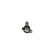 Bobine d'allumage ZS-PPENCILCOIL1X1 Bosch, Vignette 3