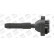 Bobine d'allumage ZS041 Borgwarner Beru, Vignette 6