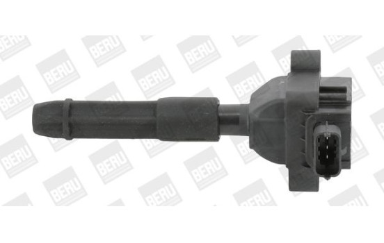 Bobine d'allumage ZS041 Borgwarner Beru, Image 6