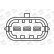 Bobine d'allumage ZS041 Borgwarner Beru, Vignette 7