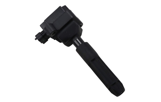 Bobine d'allumage ZS041 Borgwarner Beru
